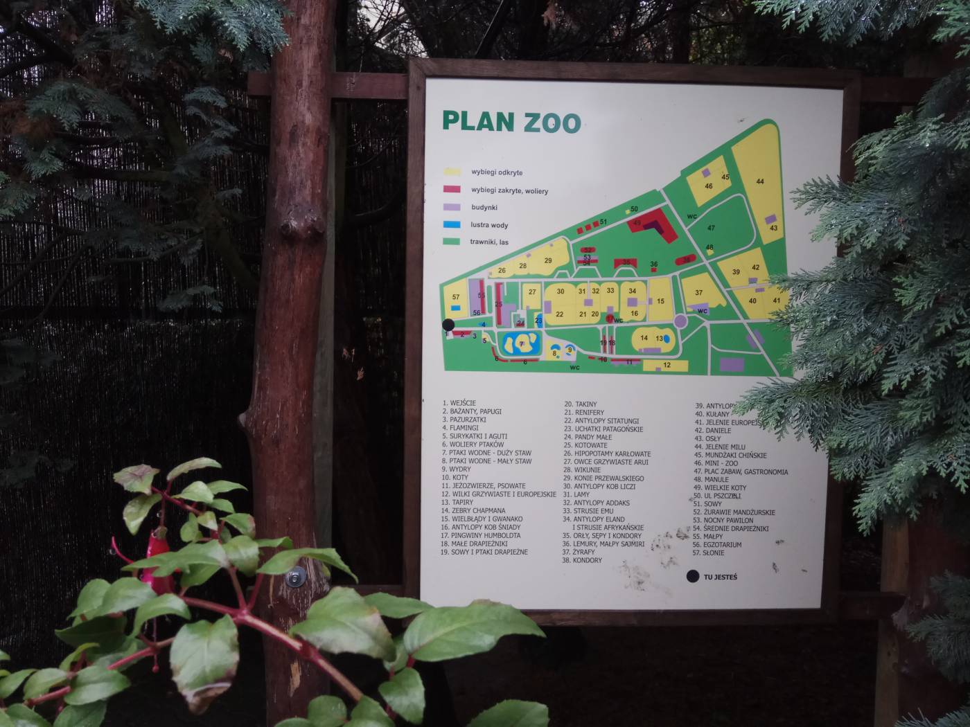 Карта Краковского зоопарка