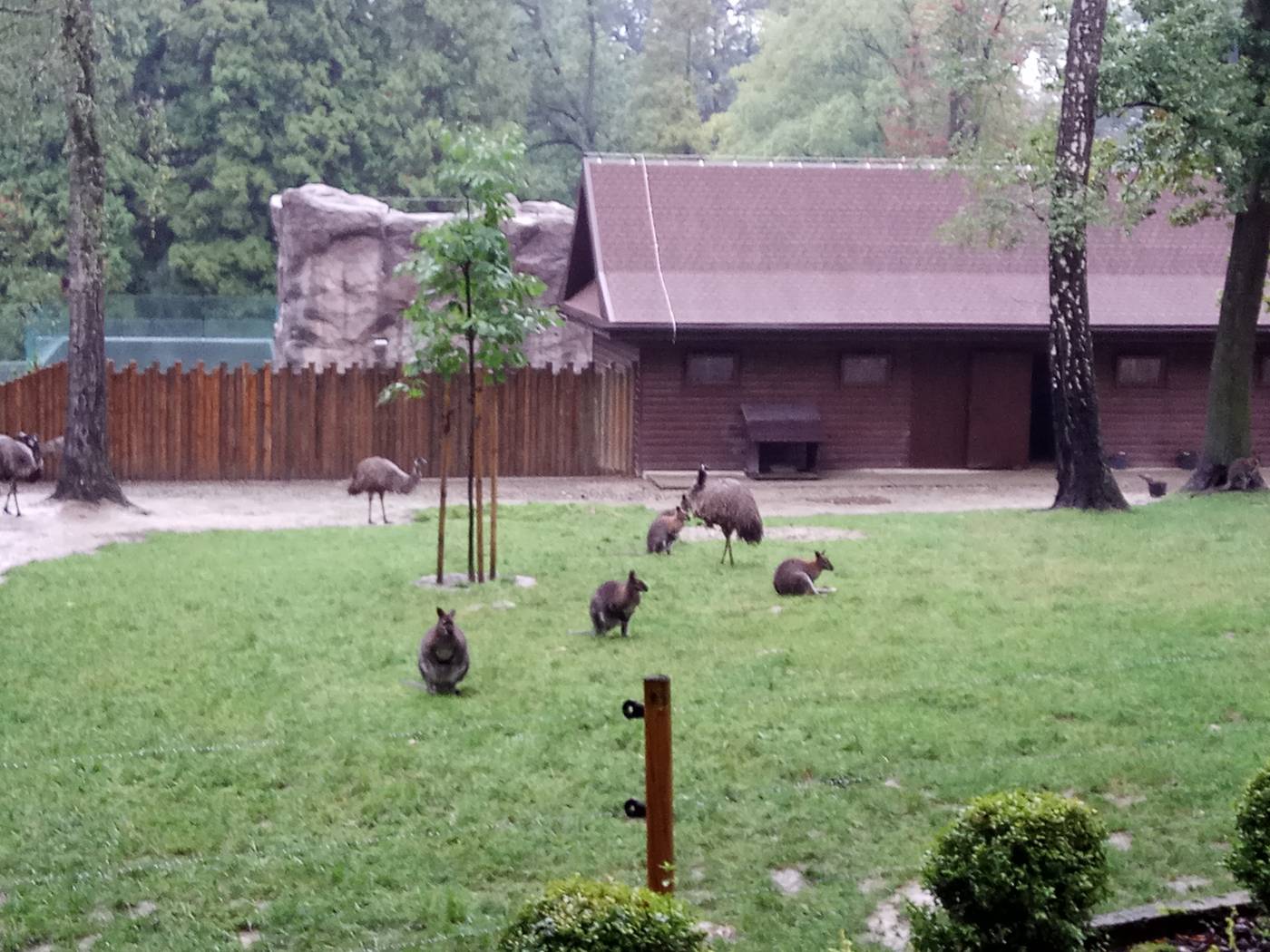 Краковский зоопарк