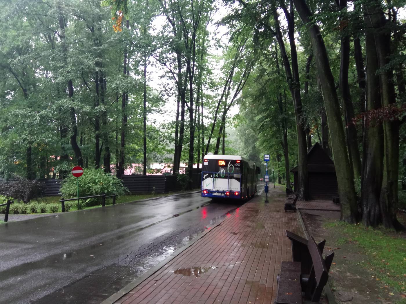 Автобус 134 в Краковский зоопарк