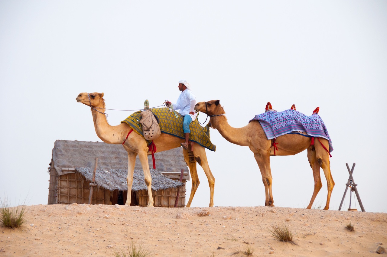 beduins in Dubai